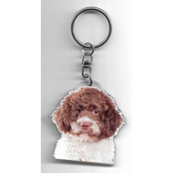 LABRODOODLE  DOG / Key Fobs