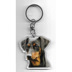 PINSCHER DOG / Key Fobs