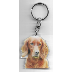 IRISH SETTER DOG / Key Fobs