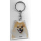 SPITZ DOG / Key Fobs