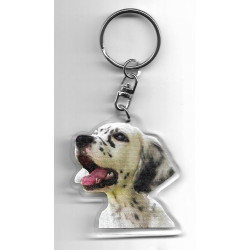 ENGLISH SETTER DOG / Key Fobs