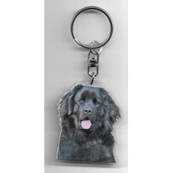 NEWFOUNLAND RESCUE DOG / Key Fobs